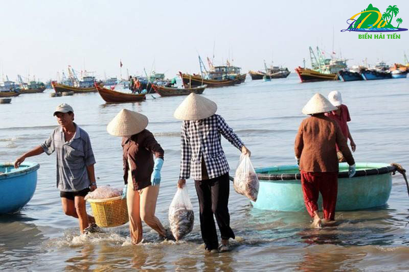Cách mua hải sản ở Biển Hải Tiến tươi ngon giá cả hợp lý