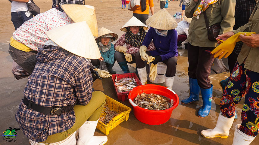 Chợ làng chài biển Hải Tiến - địa điểm ăn uống ở biển Hải Tiến thú vị