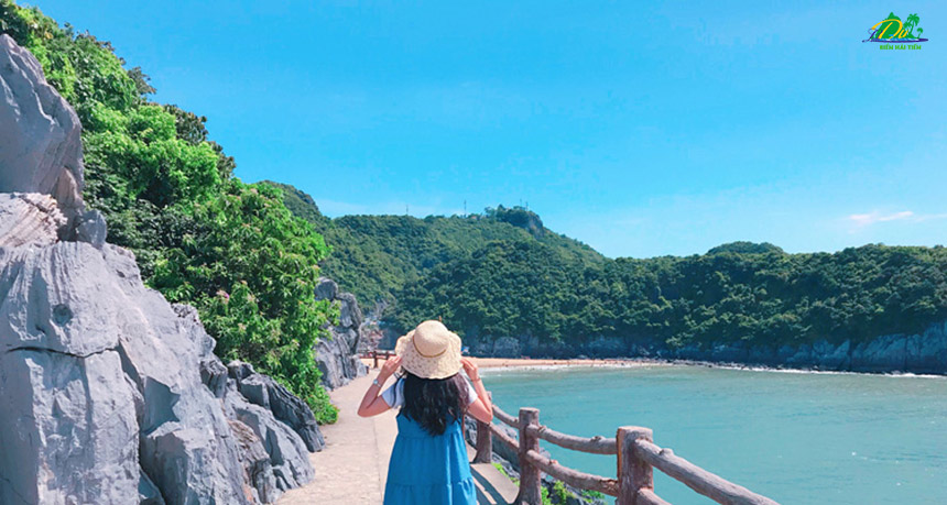 Top 5 các bãi biển đẹp ở miền Bắc Việt Nam nên đi nhất hiện nay